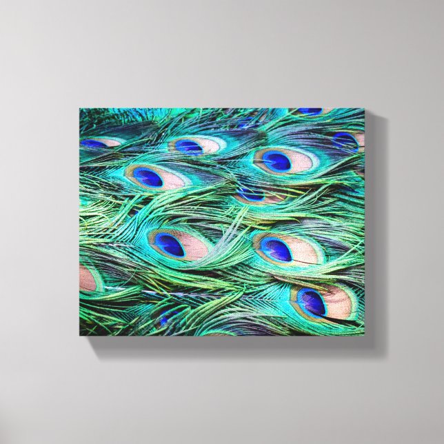 Peacock Feathers Canvas Print (Front)