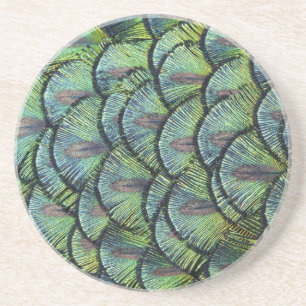 Peacock Feathers Coaster