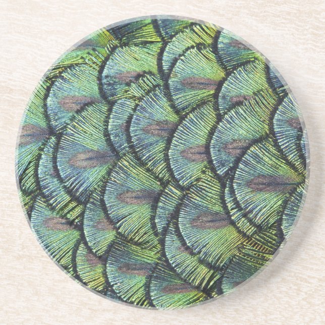 Peacock Feathers Coaster (Front)