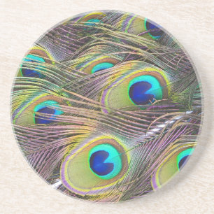 Peacock Feathers Coaster
