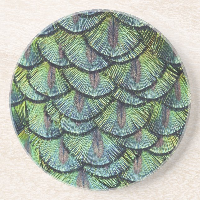 Peacock Feathers Coaster (Front)