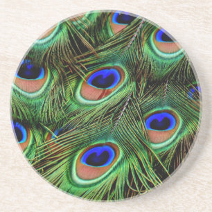 Peacock Feathers Coaster
