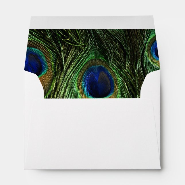 Peacock Feathers Envelopes (Back (Bottom))