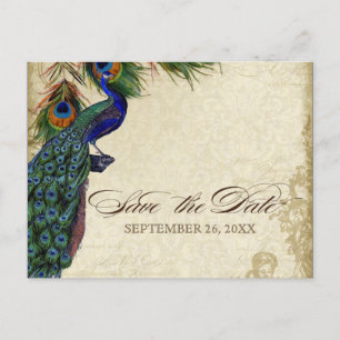 Peacock & Feathers Formal Save the Date Black Tan Announcement Postcard