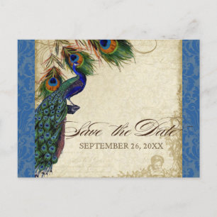 Peacock & Feathers Formal Save the Date Royal Blue Announcement Postcard