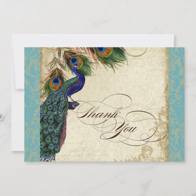 Peacock Feathers Formal Thank You Notes Aqua Blue (Front)