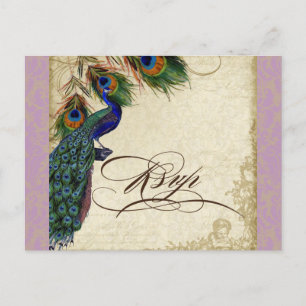 Peacock & Feathers Formal Wedding RSVP Response Invitation Postcard