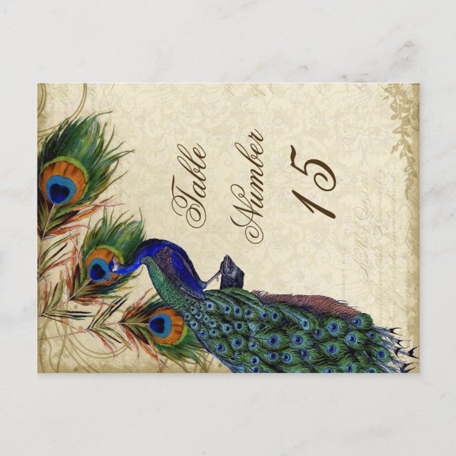Peacock & Feathers Formal Wedding Table Numbers Postcard (Front)