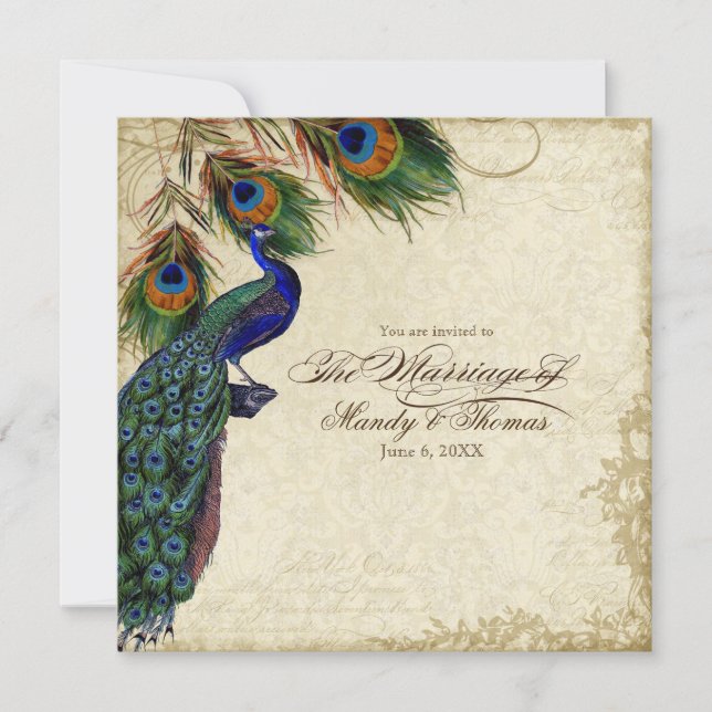 Peacock & Feathers Formal Wedding Tea Stained Invitation (Front)