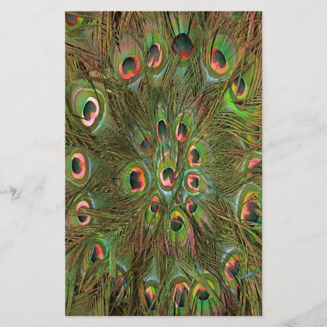 Peacock feathers green Background Stationery (Front)