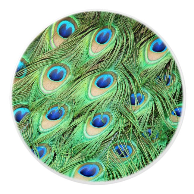 Peacock Feathers Green Bird Drawer Pulls Knobs (Front)