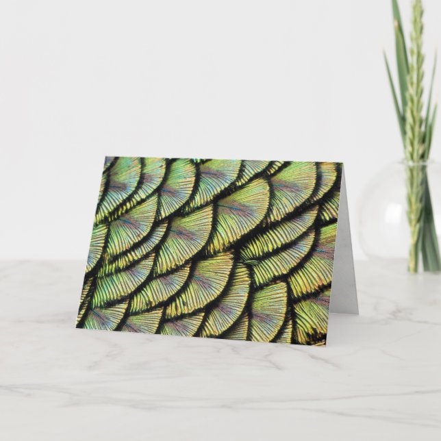 Peacock Feathers Greeting Card (Front)