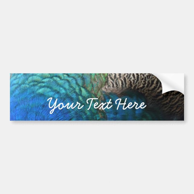 Peacock Feathers I Bumper Sticker (Front)