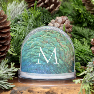 Peacock Feathers I Colorful Abstract Nature Design Snowglobe