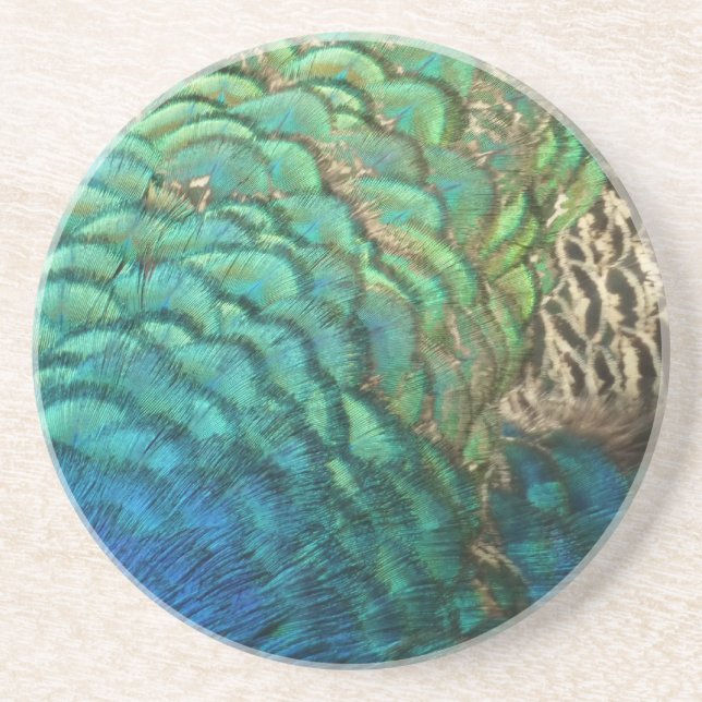 Peacock Feathers I Colourful Abstract Nature Coaster (Front)