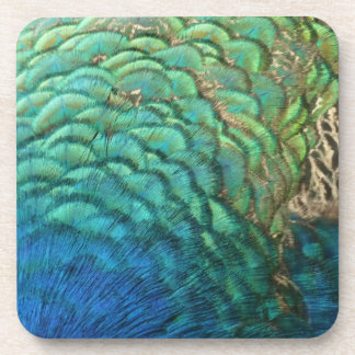 Peacock Feathers I Colourful Abstract Nature Coaster