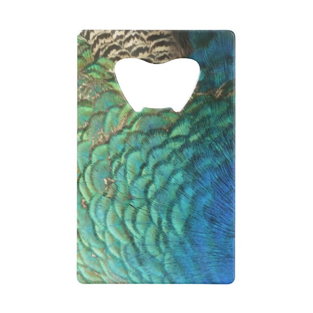 Peacock Feathers I Colourful Abstract Nature Desig (Back)