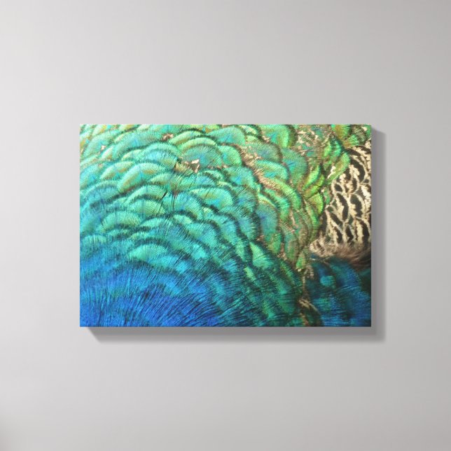 Peacock Feathers I Colourful Abstract Nature Desig Canvas Print (Front)