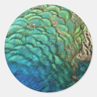 Peacock Feathers I Colourful Abstract Nature Desig Classic Round Sticker
