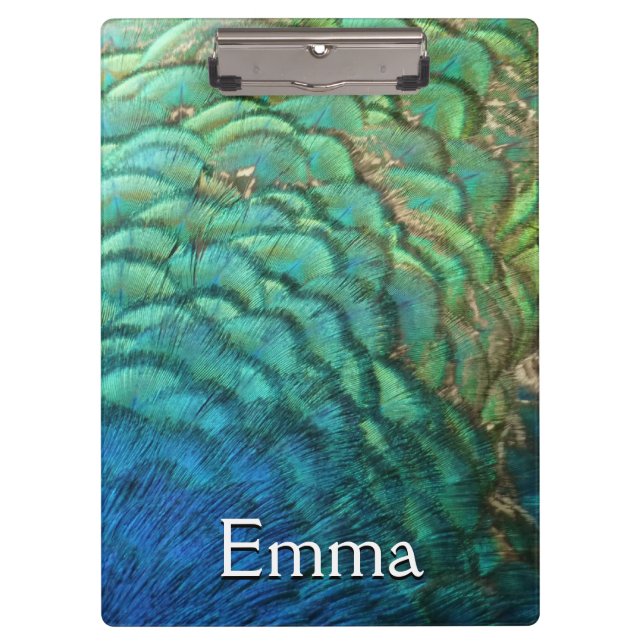 Peacock Feathers I Colourful Abstract Nature Desig Clipboard (Front)