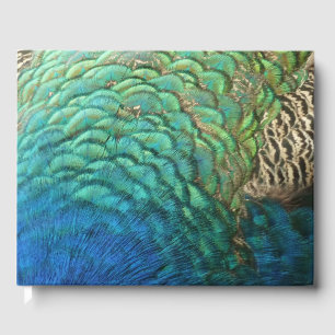 Peacock Feathers I Colourful Abstract Nature Desig Guest Book