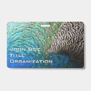 Peacock Feathers I Colourful Abstract Nature Desig ID Badge