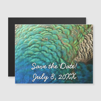Peacock Feathers I Colourful Abstract Nature Desig Magnetic Invitation