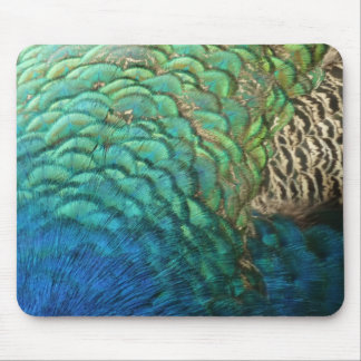 Peacock Feathers I Colourful Abstract Nature Desig Mouse Pad
