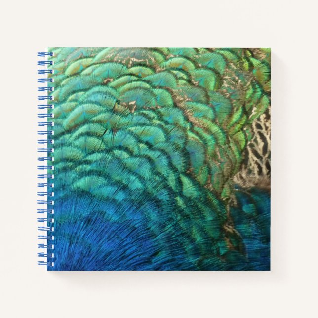 Peacock Feathers I Colourful Abstract Nature Desig Notebook (Front)
