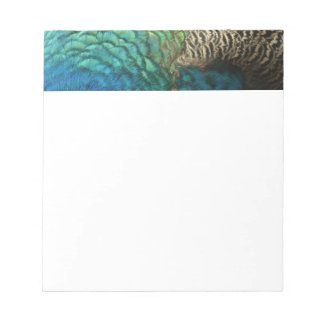 Peacock Feathers I Colourful Abstract Nature Desig Notepad