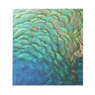 Peacock Feathers I Colourful Abstract Nature Desig Notepad