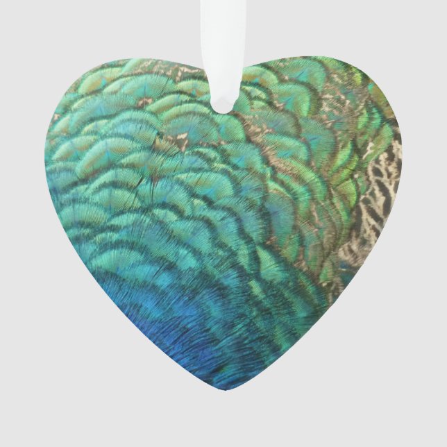 Peacock Feathers I Colourful Abstract Nature Desig Ornament (Front)