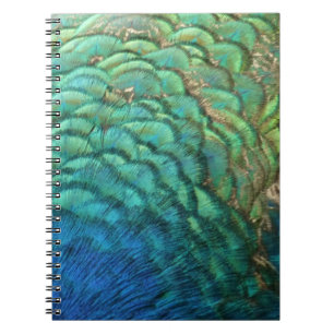 Peacock Feathers I Colourful Abstract Nature Desig Spiral Notebook