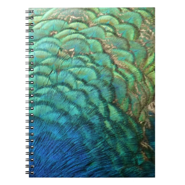 Peacock Feathers I Colourful Abstract Nature Desig Spiral Notebook (Front)