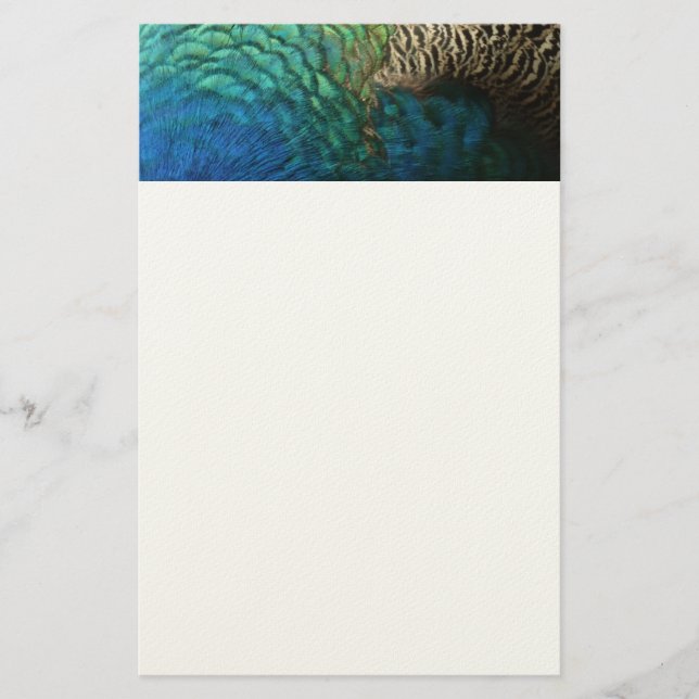 Peacock Feathers I Colourful Abstract Nature Desig Stationery (Front)