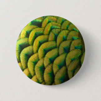 Peacock Feathers II Colourful Nature 6 Cm Round Badge