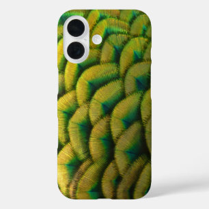 Peacock Feathers II Colourful Nature iPhone 16 Case