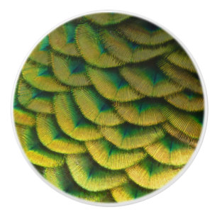 Peacock Feathers II Colourful Nature Ceramic Knob