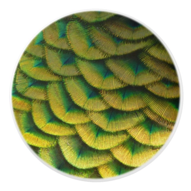 Peacock Feathers II Colourful Nature Ceramic Knob (Front)