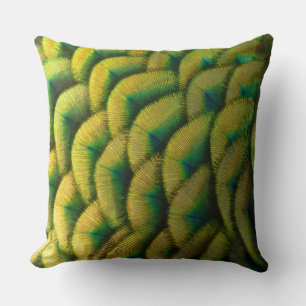 Peacock Feathers II Colourful Nature Cushion