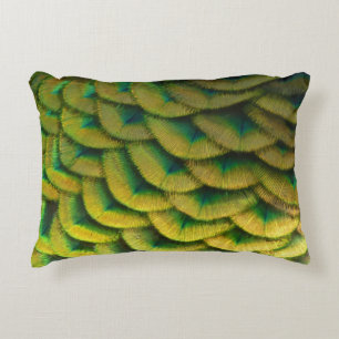 Peacock Feathers II Colourful Nature Decorative Cushion