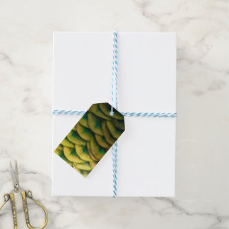 Peacock Feathers II Colourful Nature Gift Tags