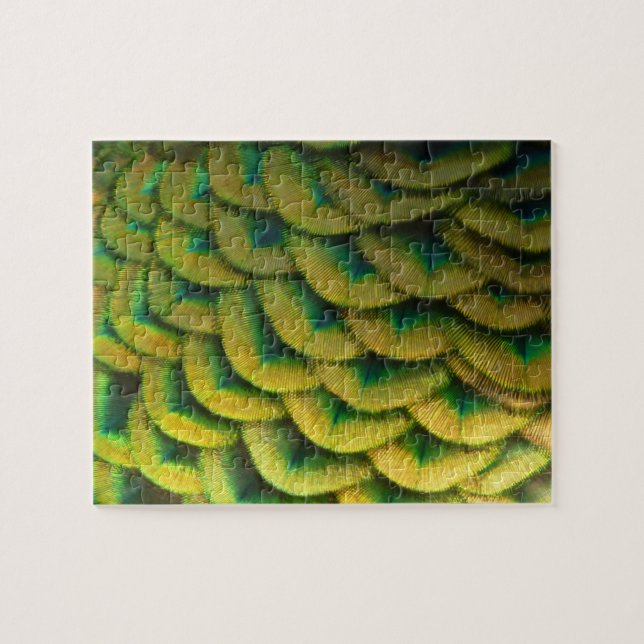 Peacock Feathers II Colourful Nature Jigsaw Puzzle (Horizontal)