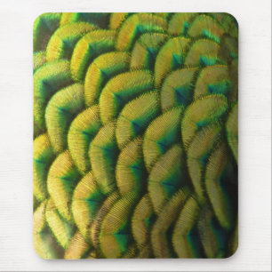 Peacock Feathers II Colourful Nature Mouse Pad