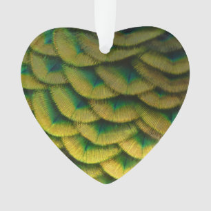 Peacock Feathers II Colourful Nature Ornament