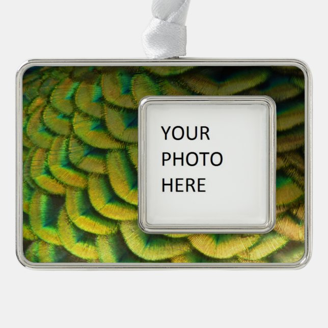 Peacock Feathers II Colourful Nature Silver Plated Framed Ornament (Front)
