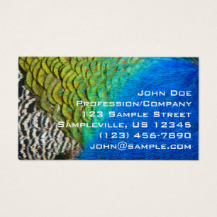 Peacock Feathers IV Colorful Abstract Nature