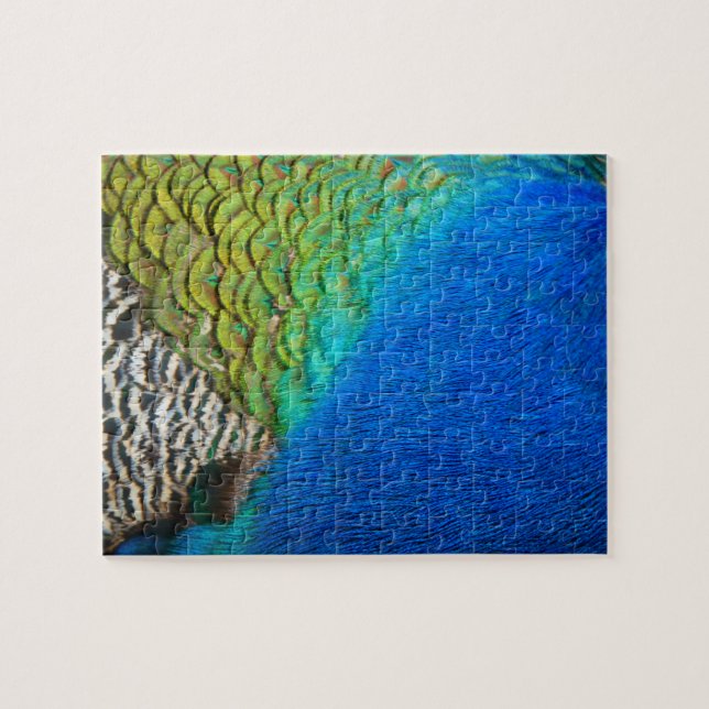 Peacock Feathers IV Colourful Abstract Nature Jigsaw Puzzle (Horizontal)