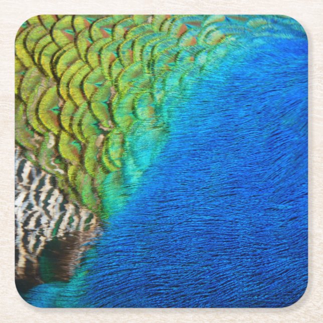Peacock Feathers IV Colourful Abstract Nature Square Paper Coaster (Front)