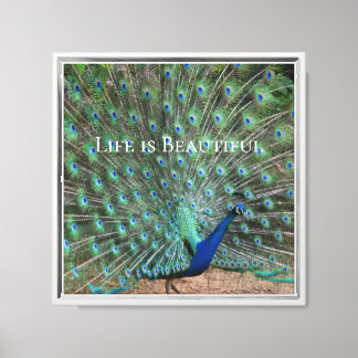 Peacock Feathers Kauai Hawaii Canvas Print